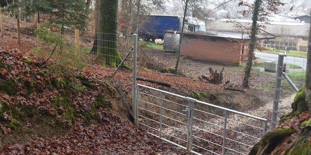 Beim Rastplatz Thayngen gibt es für Wildschweine kein Durchkommen mehr. (Bilder Thomas Güntert)
