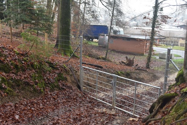 Beim Rastplatz Thayngen gibt es für Wildschweine kein Durchkommen mehr. (Bilder Thomas Güntert)