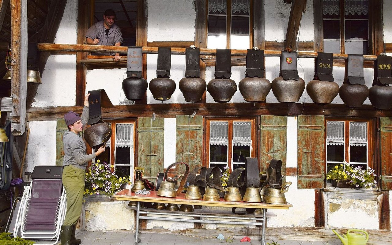 Am Morgen heisst es zuerst die Treicheln und Glocken von der Alphütte herunterholen. Eine Arbeit für die Söhne Peter und Samuel Ryter. 