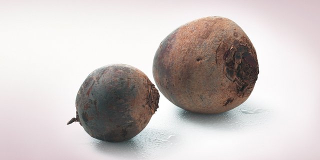 Randen werden in der Schweiz auf rund 170 Hektaren angebaut. (Bild zVg)