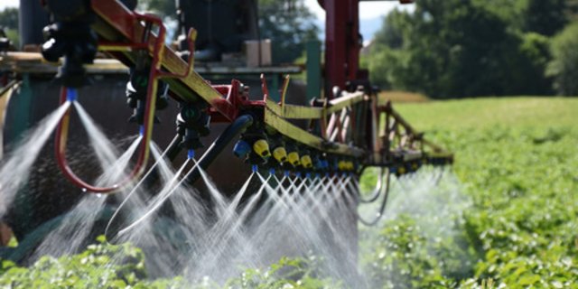 An einer Pflanzenbautagung wurde über das erste Versuchsjahr vom Projekt Pestired berichtet, das den Einsatz von chemisch-synthetischen Pflanzenschutzmitteln im Laufe einer genau festgelegten Fruchtfolge um 75 Prozent verringern will. (Bild Archiv BauernZeitung)