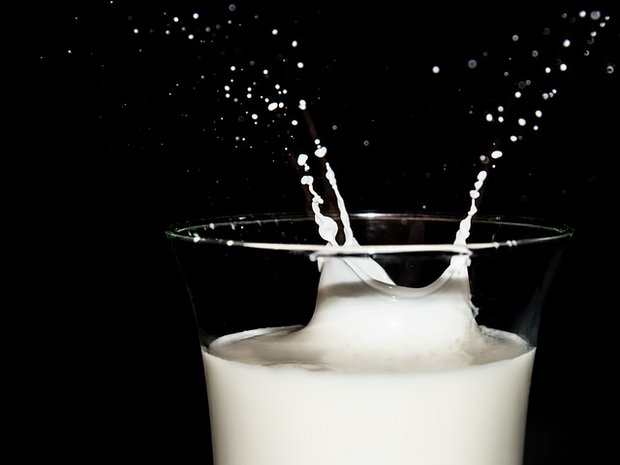Die Einkommen in der Landwirtschaft seien nur zum Teil gestiegen, so Big M. Etwa gehörten die Milchproduzenten zu der am schlechtesten verdienenden Sparte. (Symbolbild Pixabay)