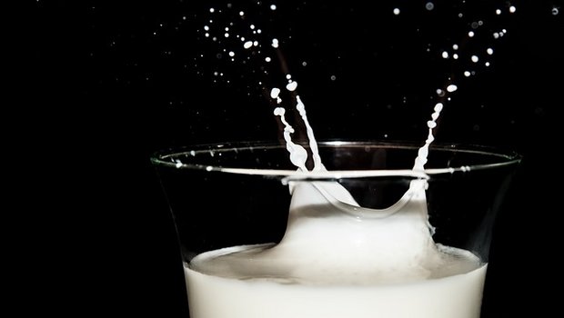 Die Einkommen in der Landwirtschaft seien nur zum Teil gestiegen, so Big M. Etwa gehörten die Milchproduzenten zu der am schlechtesten verdienenden Sparte. (Symbolbild Pixabay)