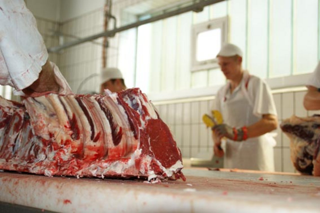 Die Fleischproduktion in Deutschland ist im Vergleich zum Vorjahr um 2 Prozent gesunken. (Bild lid)