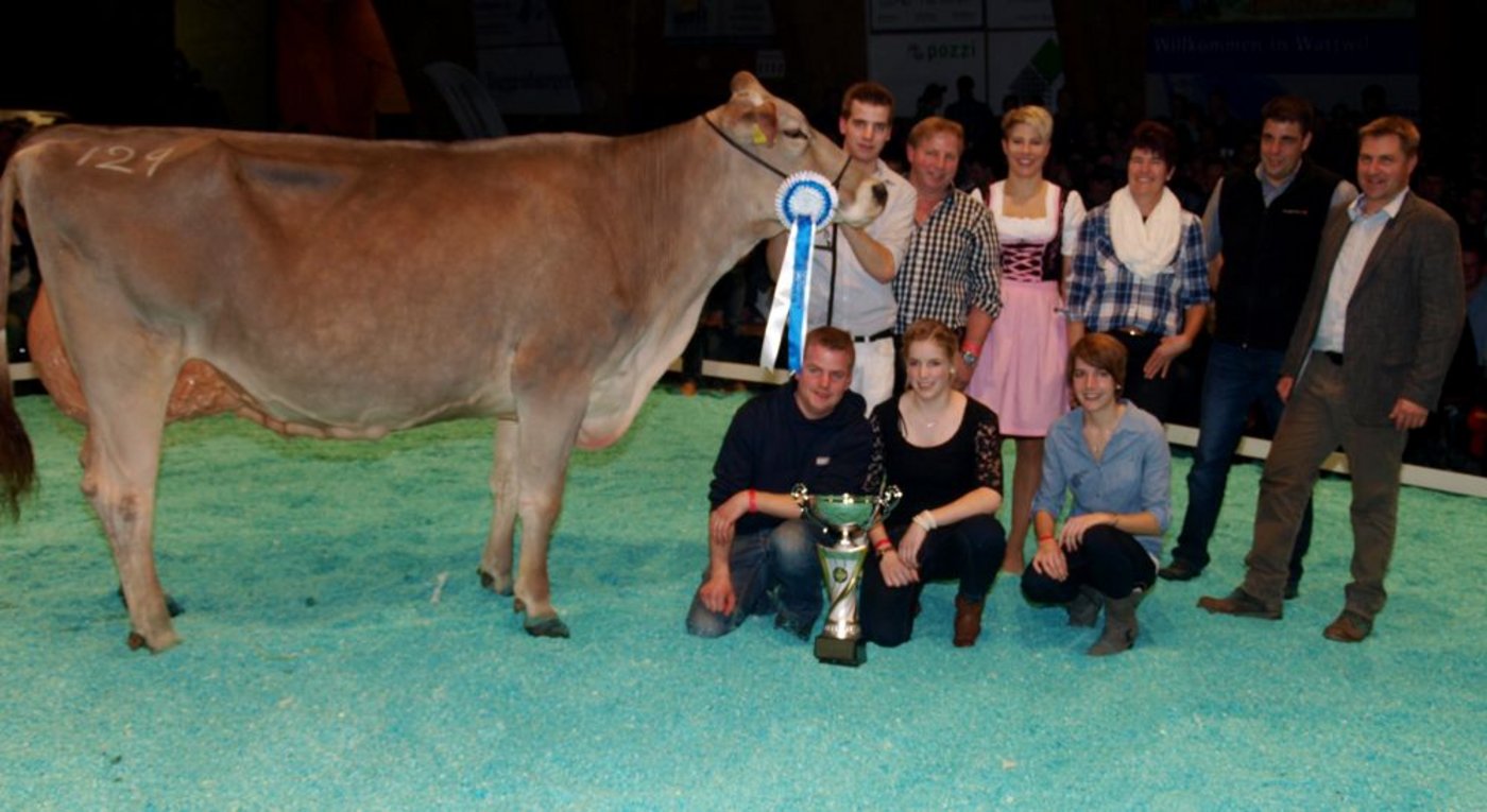 Die grossartige Siegerkuh: Pius Schulers Glenn Glena von Paul Kälin-Merz, Steinen SZ. (Bild1/4/ Bilder Mario Tosato)