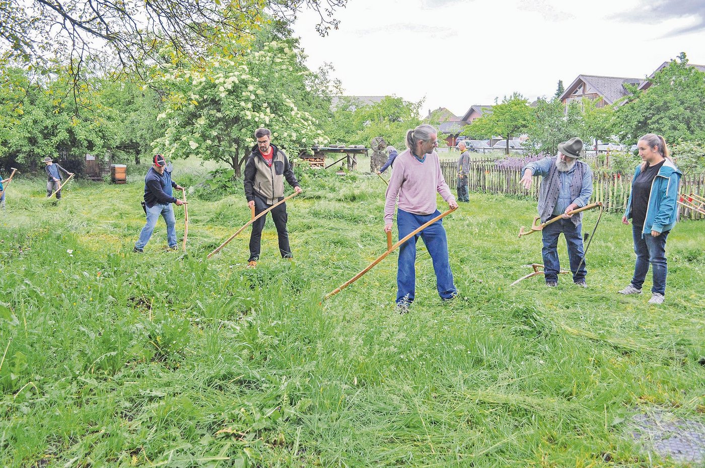 Wenig Theorie und viel Praxis gab es am Kurs in Kölliken: zuerst wurde das Wetzen und dann die Mähtechnik geübt.(Bild Paul Müri)