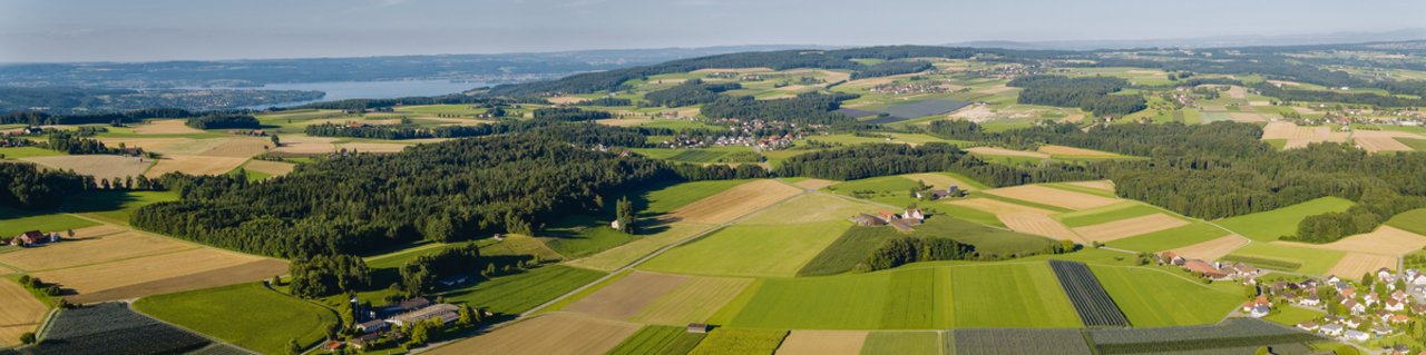 Blick aus der Umgebung von Homburg auf die von der Landwirtschaft geprägte Region, deren Profil durch das Label «Kraftgegend Seerücken-Untersee» gestärkt werden soll.(Bild: Kaden und Partner AG)