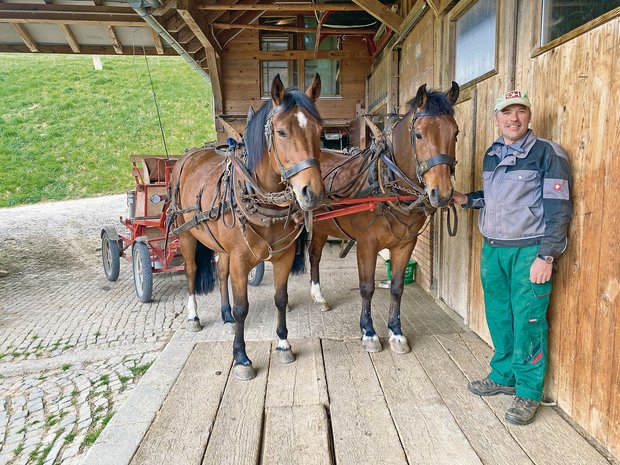 Bauern mit Pferdestärke: «Ich diskutiere nicht, ich mache» «Unsere Freiberger brauchen zwar keinen Diesel, dafür Heu – und das jeden Tag», sagt Rudolf Blaser und ist dennoch zufrieden mit der Flächenleistung seiner Arbeitspferde. (Bilder Sera Hostettler)