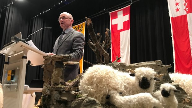 Alwin Meichtry bleibt Präsident des Schweizerischen Schafzuchtverbands. (Bild akr)