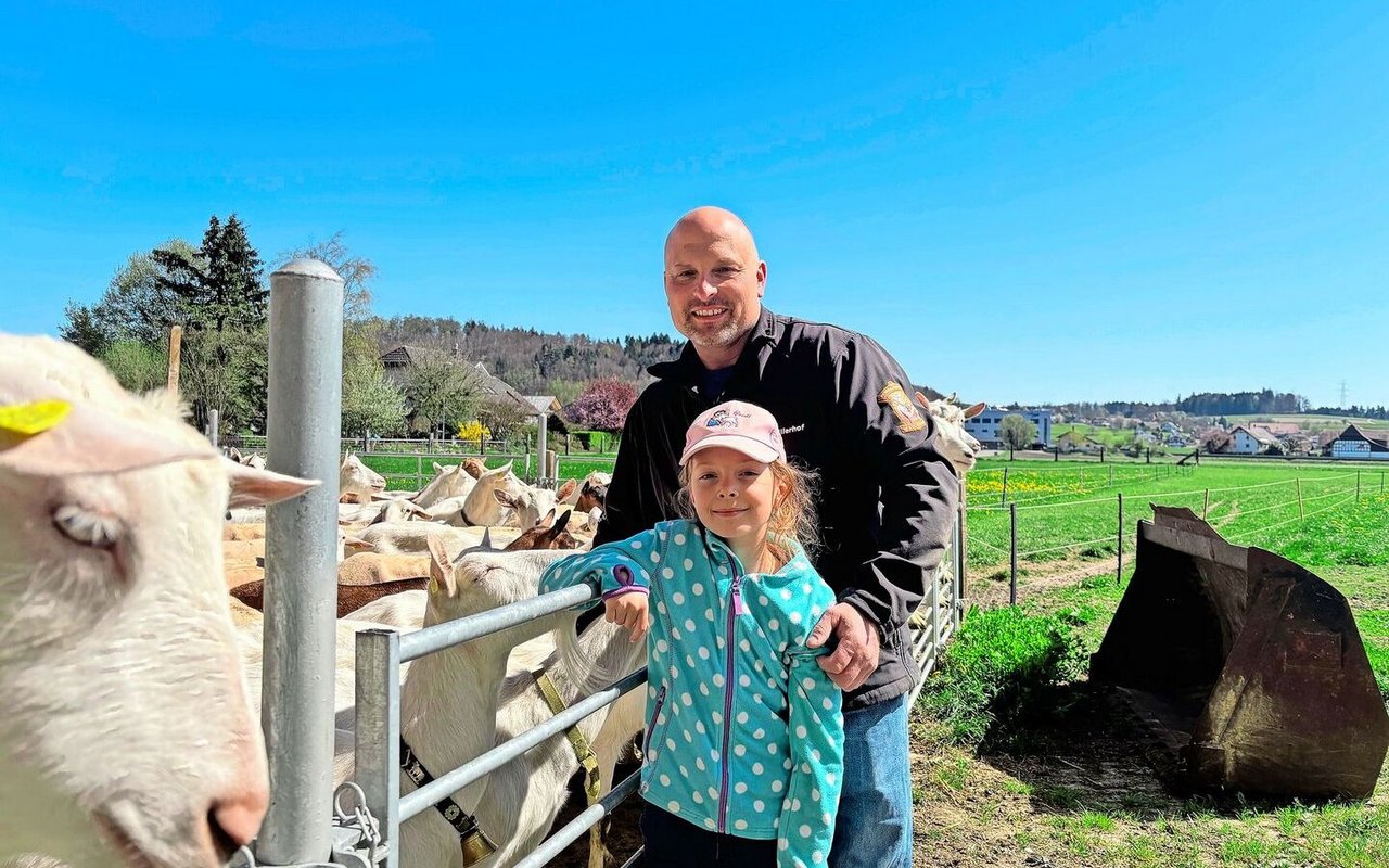 Ein aussergewöhnliches Konzept: Auf dem Betrieb von Peter Blaser werden die Schafe und Ziegen in einem Stall gehalten. Auch Tochter Nora hilft bereits gerne auf dem Betrieb mit. 
