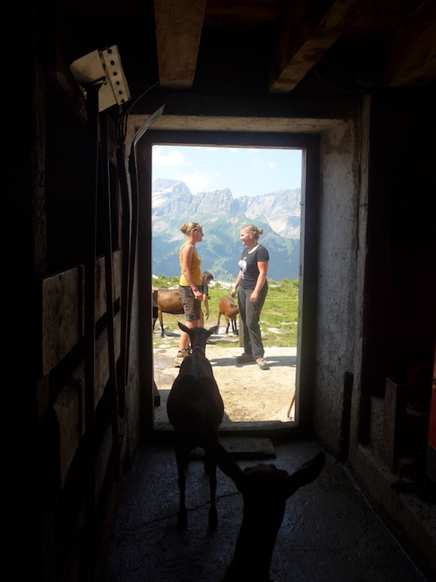 Alexandra und Debora Huber beobachtet von einer der Alpziegen. 