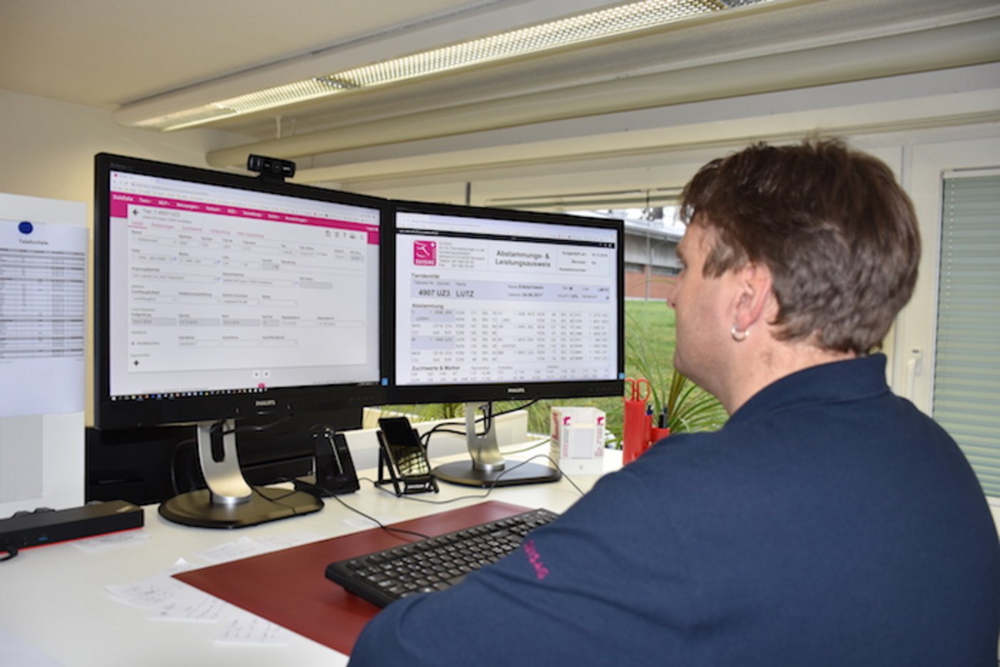 SUISAG Zuchtwerte in der praktischen Anwendung. (Bild zVg)