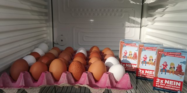 SChweizer Eier im Kühlschrank des Direktvermarkters. Was haben sie mit der Trinwasser-Initiative zu tun? (Bild sb)