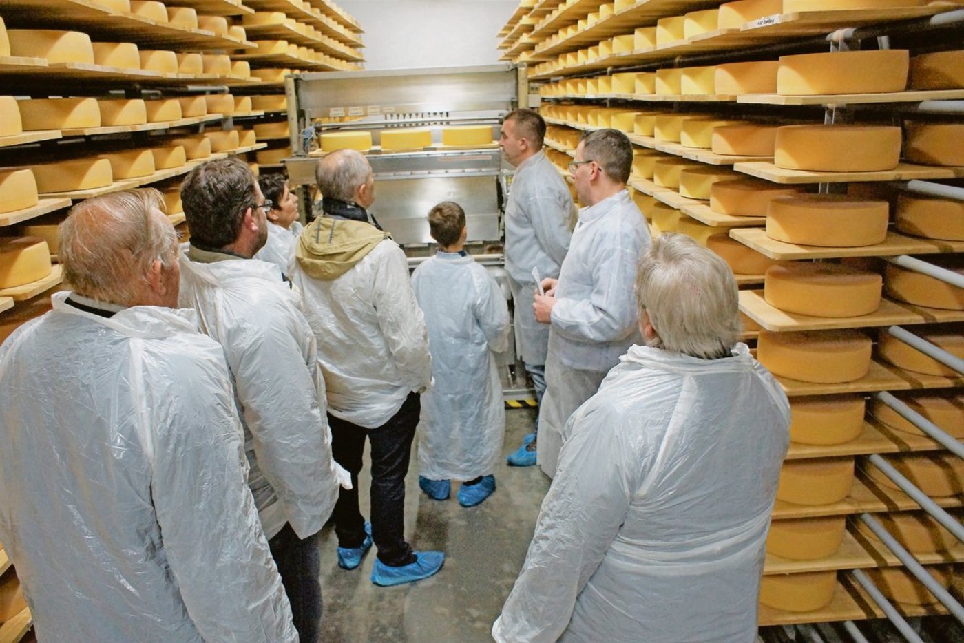 In Kleingruppen werden die interessierten Gruppen in den Käsekeller der Bergkäserei Oberberg geführt, wo sie den Roboter bei der Arbeit sehen können.(Bild Sandra Steffen)