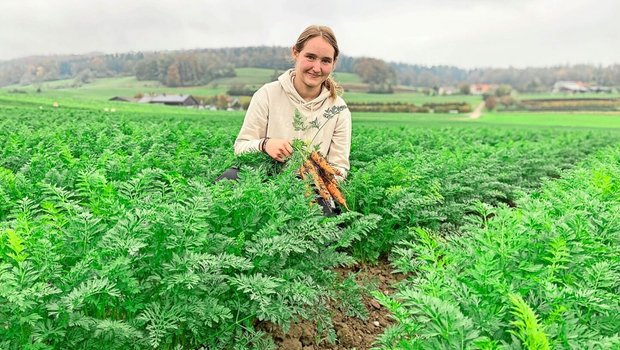 Derzeit geben die Rü Derzeit geben die Rüebli auf dem Lehrbetrieb von Jasmin Brunner im zürcherischen Sünikon den Takt an. Sie stammt selbst von einem Gemüsebetrieb und ist derzeit im ersten Lehrjahr.