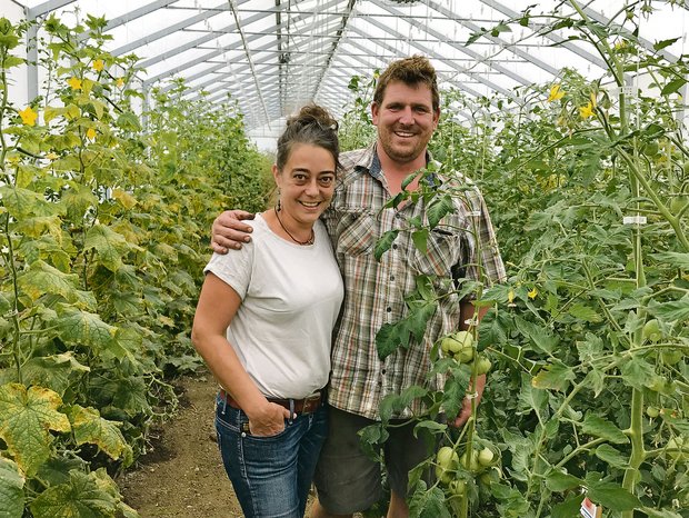 Sabrina und Markus Ammann haben in ihrem Treibhaus Tomaten verschiedener Sorten, Gurken und Auberginen angepflanzt. (Bild Alexandra Stückelberger)