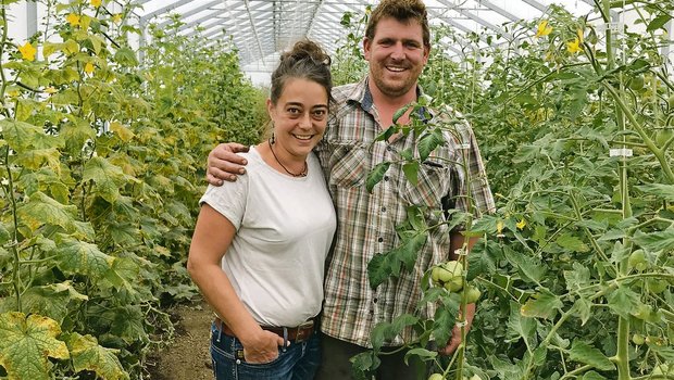 Sabrina und Markus Ammann haben in ihrem Treibhaus Tomaten verschiedener Sorten, Gurken und Auberginen angepflanzt. (Bild Alexandra Stückelberger)