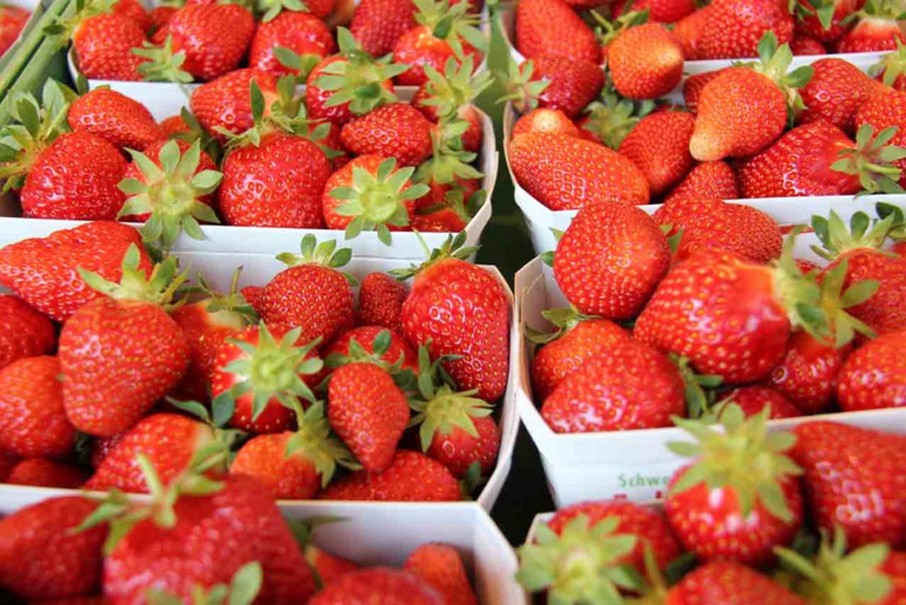 Jetzt gibts Schweizer Erdbeeren zu kaufen. (Bild SOV)