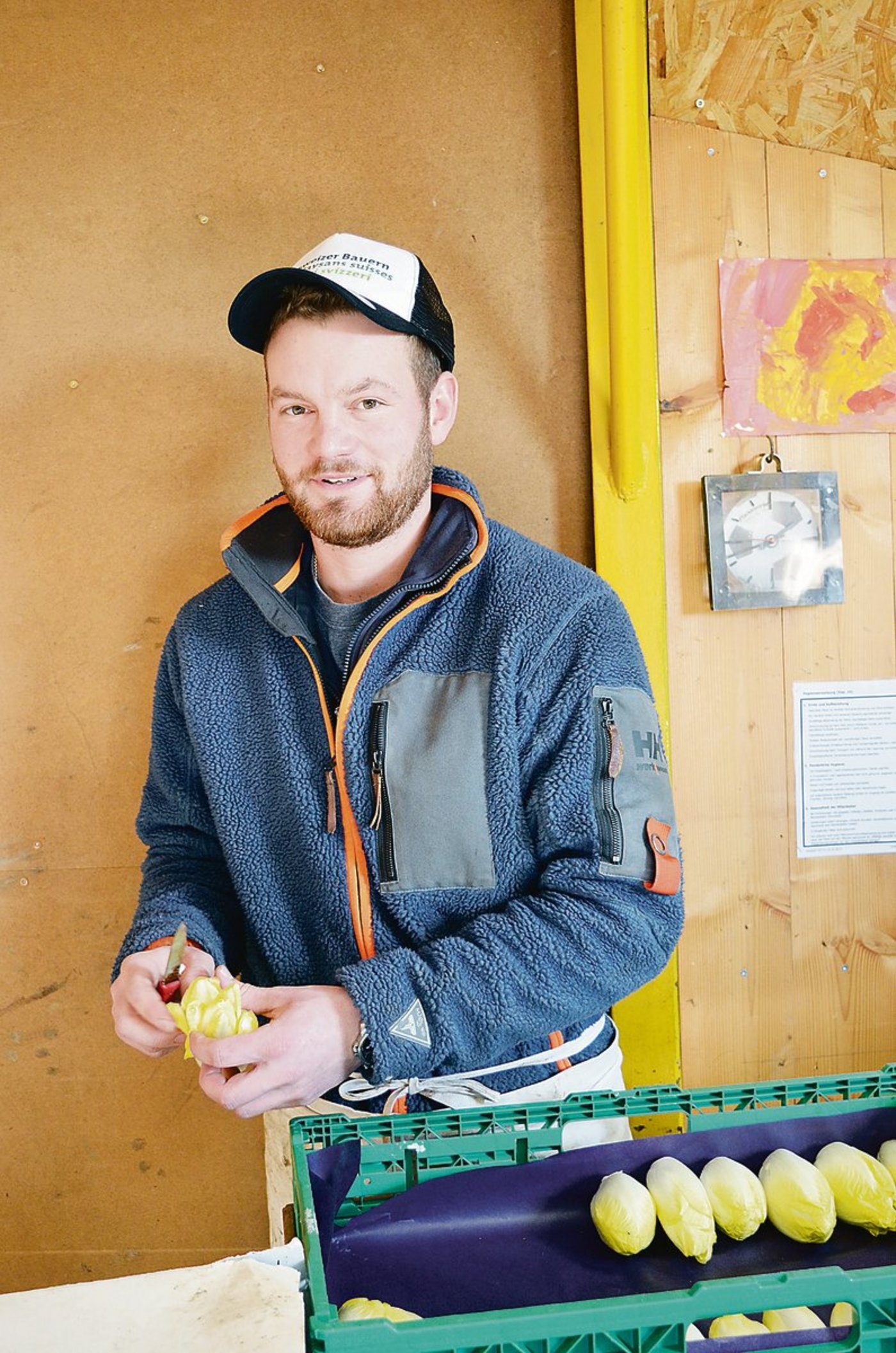 Für die Produktion des Chicorées fallen das ganze Jahr über Arbeiten an: Jannic Hut hilft auch beim Rüsten mit. 