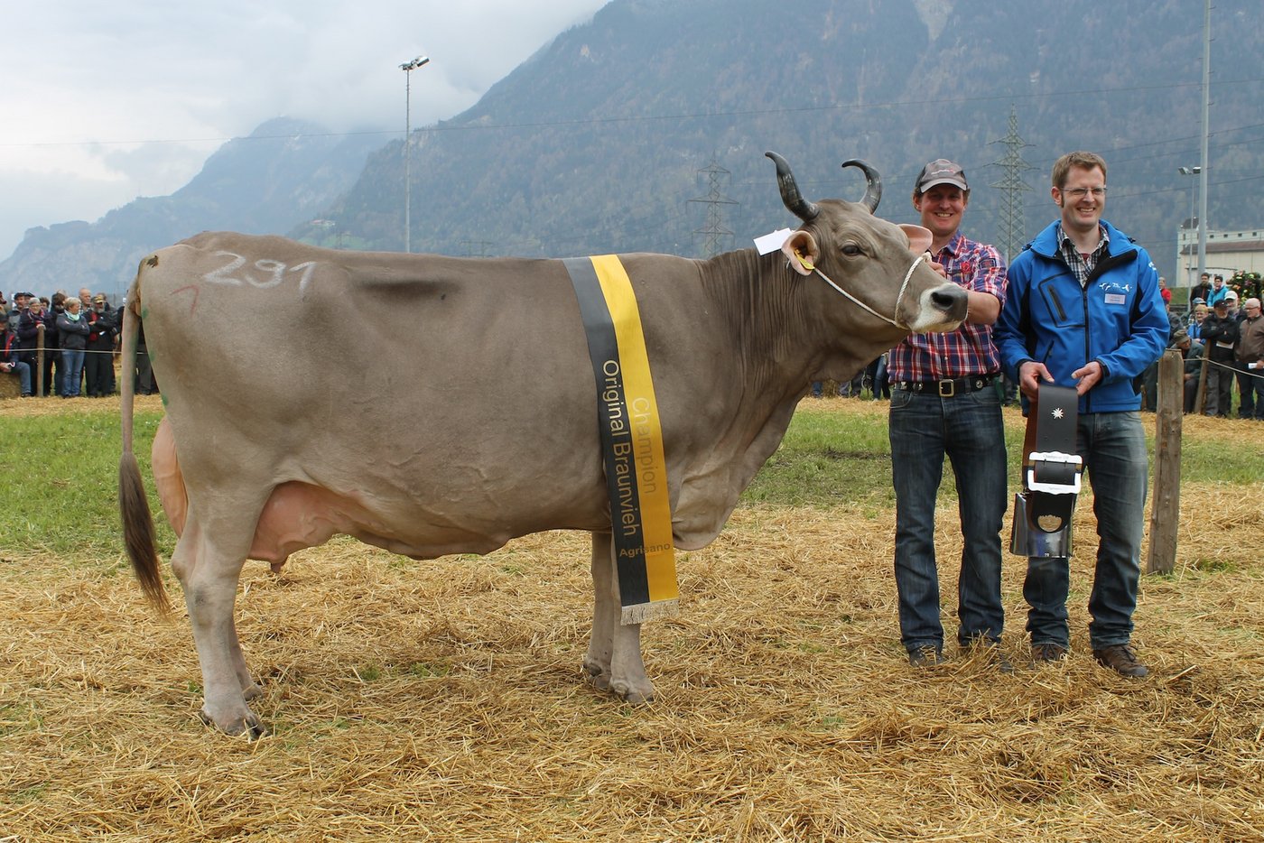 Tagessiegerin Originalbraunvieh Vento Valbula von Toni und Theo Kempf, Attinghausen.