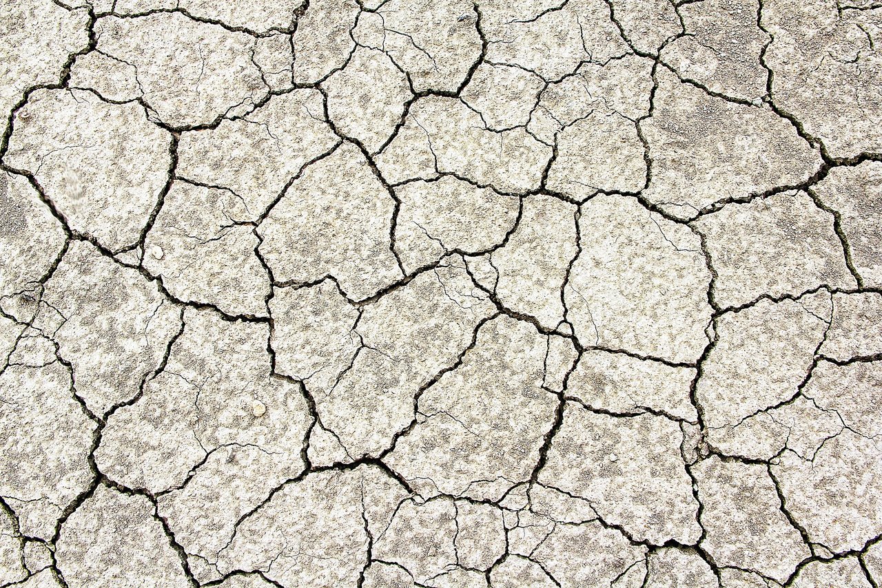 Die Schweiz sei stark vom Klimawandel betroffen, etwa durch Trockenperioden. (Bild Pixabay)
