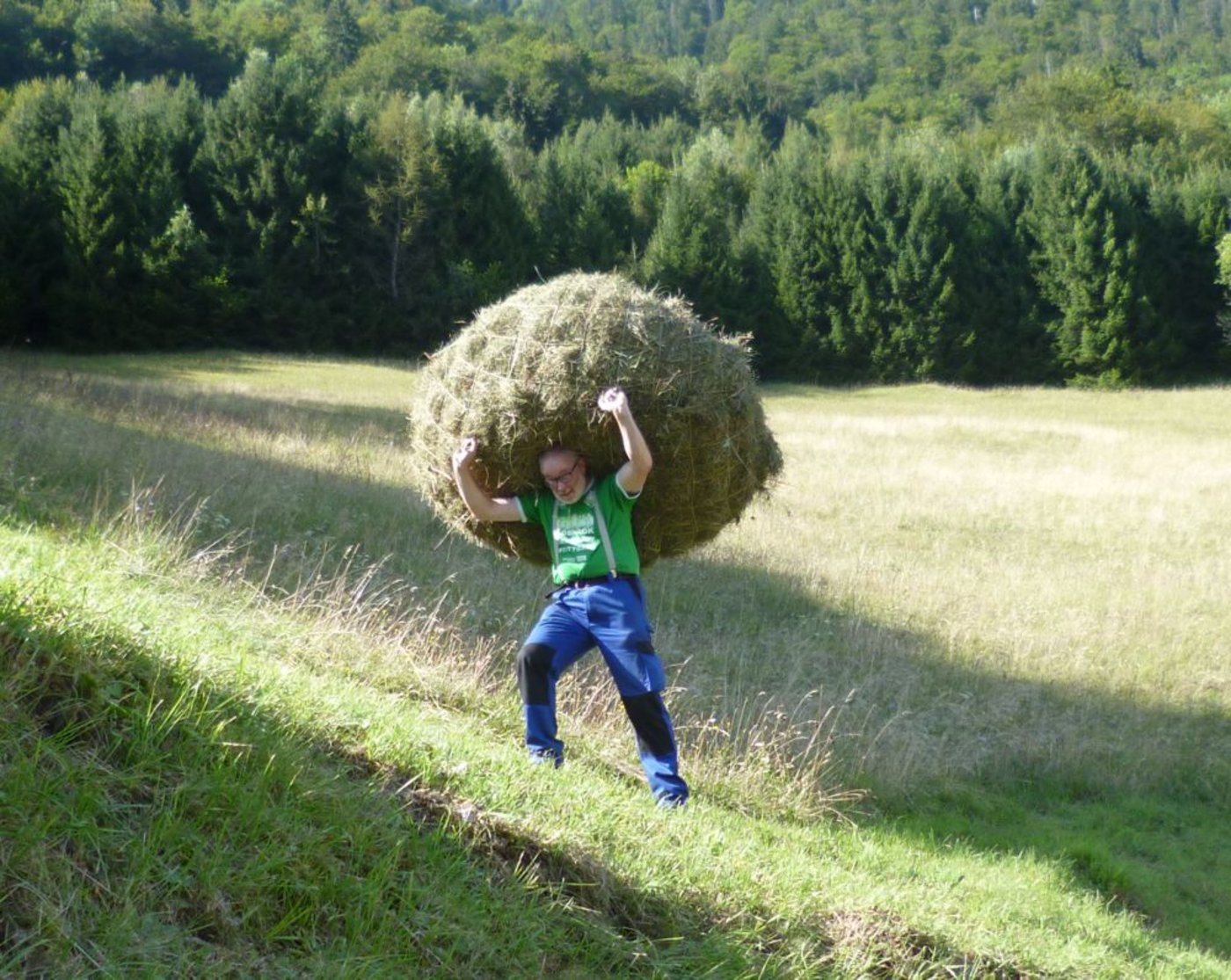 Martin Lambrecht beim Wildheuen, einer «sehr anstrengenden und nicht einfachen Arbeit» und ... (Bilder: zVg)