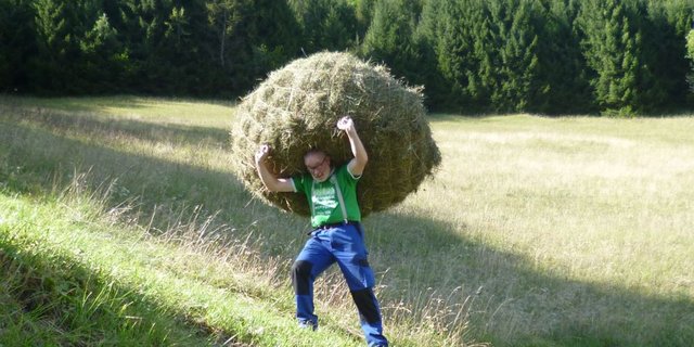 Martin Lambrecht beim Wildheuen, einer «sehr anstrengenden und nicht einfachen Arbeit» und ... (Bilder: zVg)
