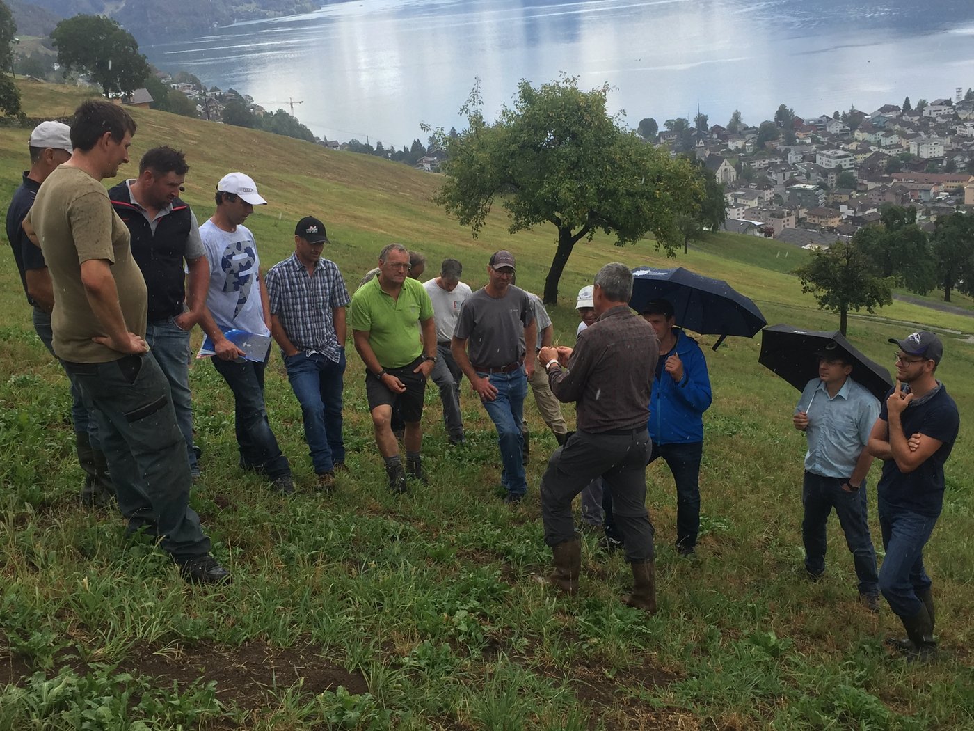 Das Problem-Ungras betrifft mehrere Kantone, aber Nidwalden ist besonders stark beeinträchtigt. Hier diskutieren am Projekt beteiligte Landwirte und Experten in Ennetbürgen NW. (Bild zVg)