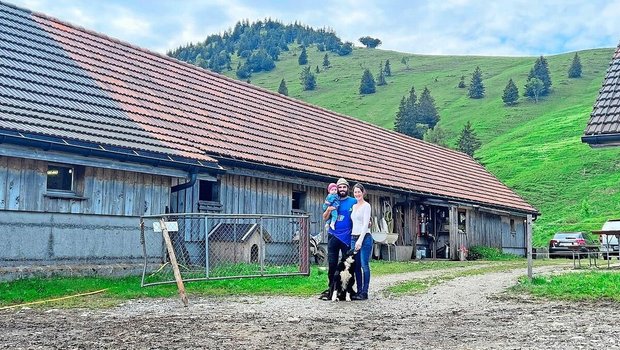 Die Familie Fieg ver Die Familie Fieg verbringt diesen Sommer mit 54 Melkkühen, 24 Schweinen, 5 Hühnern, einem Hund und einer Katze auf der Alp.