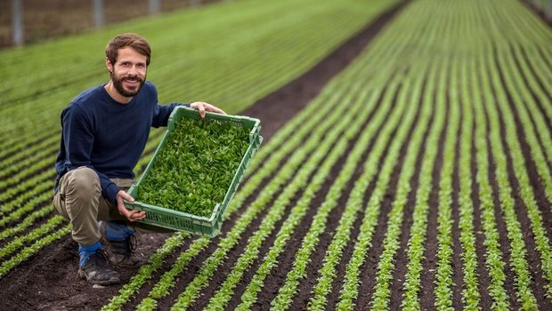 Samuel Müller vermarktet nicht nur sein eigenes Gemüse, sondern bietet eine Vielfalt an Produkten – der Wocheneinkauf soll bei Müllers möglich sein. (Bild pd)