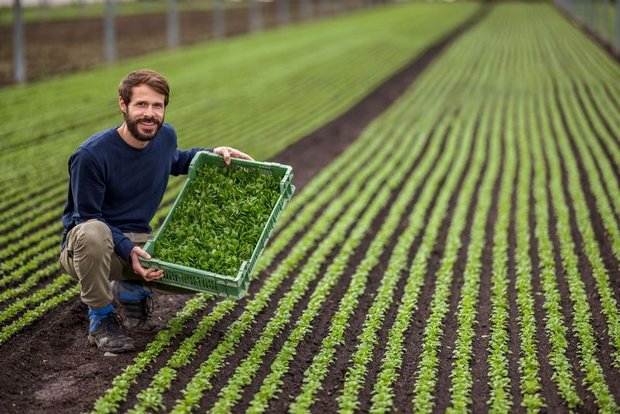 Samuel Müller vermarktet nicht nur sein eigenes Gemüse, sondern bietet eine Vielfalt an Produkten – der Wocheneinkauf soll bei Müllers möglich sein. (Bild pd)