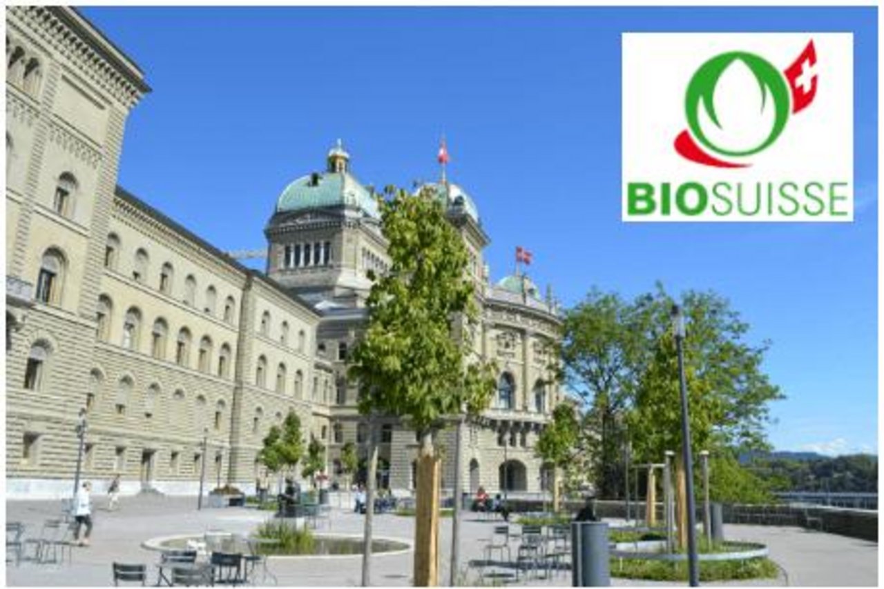 Beim Thema Pflanzenschutz schienen bei Bio Suisse die Meinungen auseinander zu gehen. (Bild jsc) 