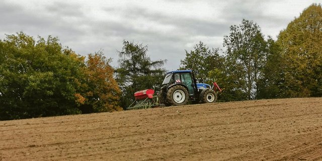 Die direktzahlungsrelevanten Massnahmen haben auf der Ackerfläche deutlich zugenommen.  Das hat Folgen für die bevorstehende Erhebung. (Bild sb)