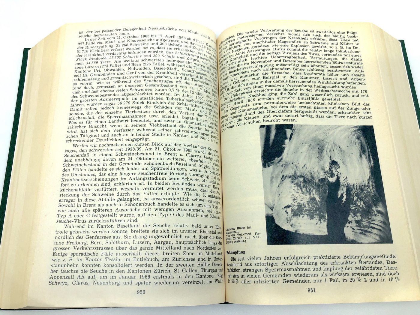 Auszug aus dem MKS-Artikel (Seite 2) von «die grüne», Ausgabenummer 27 vom 8. Juli 1966 (Bild Bauernzeitung)