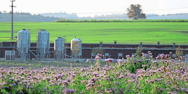 Verschiedene Organisationen sollen künftig Smartfarm nutzen können, jedoch jeweils nur auf gewisse «Silos» – also Daten – zugreifen können.