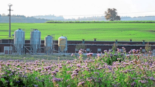 Verschiedene Organis Verschiedene Organisationen sollen künftig Smartfarm nutzen können, jedoch jeweils nur auf gewisse «Silos» – also Daten – zugreifen können.