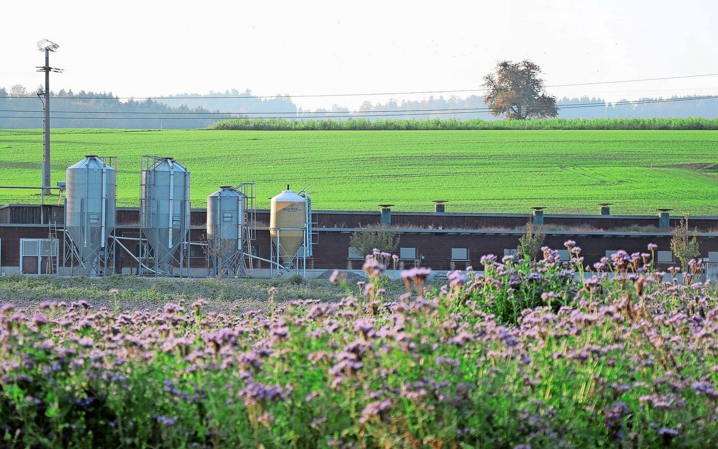 Verschiedene Organisationen sollen künftig Smartfarm nutzen können, jedoch jeweils nur auf gewisse «Silos» – also Daten – zugreifen können.