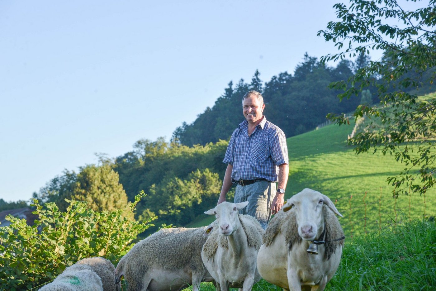 Liess sich in Frankreich die Produktion von Schafmilchprodukten erklären: Landwirt Peter Hofstetter. (David Eppenberger)