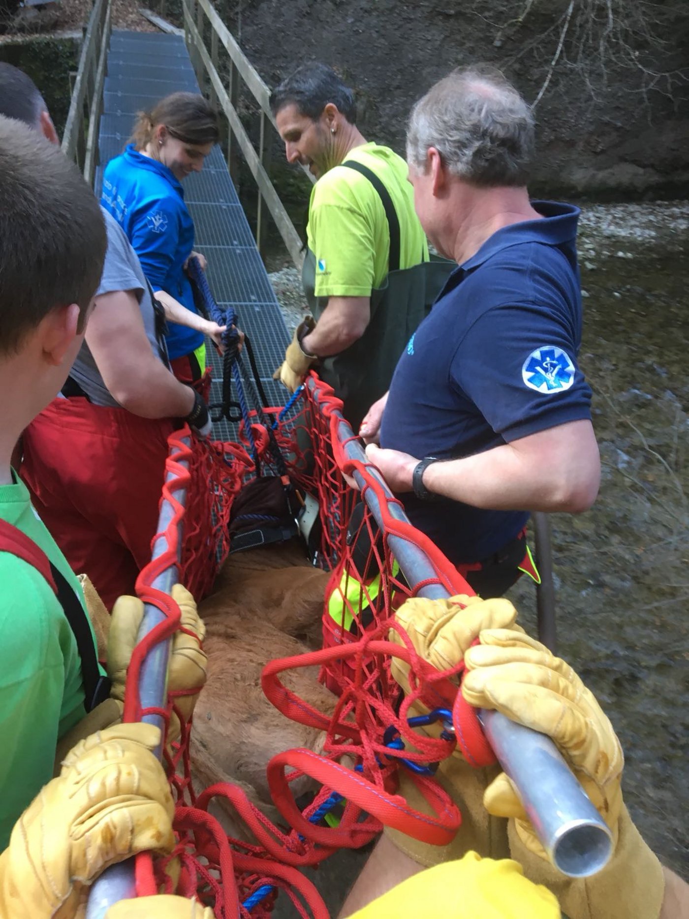 ... in einem Tragnetz aus dem Tobel getragen.