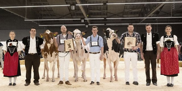 Die Juniormissen der Holstein/Red Holstein: Sihu Bad Oceana von Ueli Siegenthaler (links), Gobelis Arrow Priscilla, Gobeli Holstein (Mitte) und Zafyra von Joel und Markus Fankhauser.