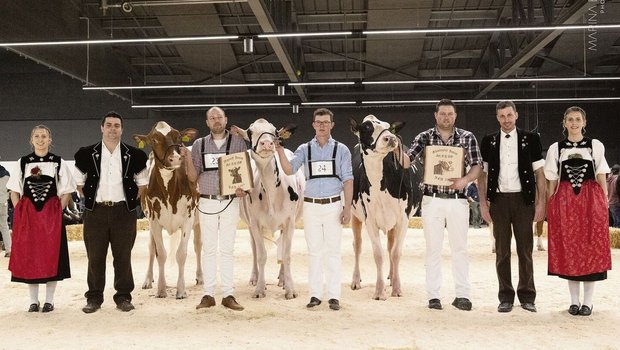 Die Juniormissen der Die Juniormissen der Holstein/Red Holstein: Sihu Bad Oceana von Ueli Siegenthaler (links), Gobelis Arrow Priscilla, Gobeli Holstein (Mitte) und Zafyra von Joel und Markus Fankhauser.