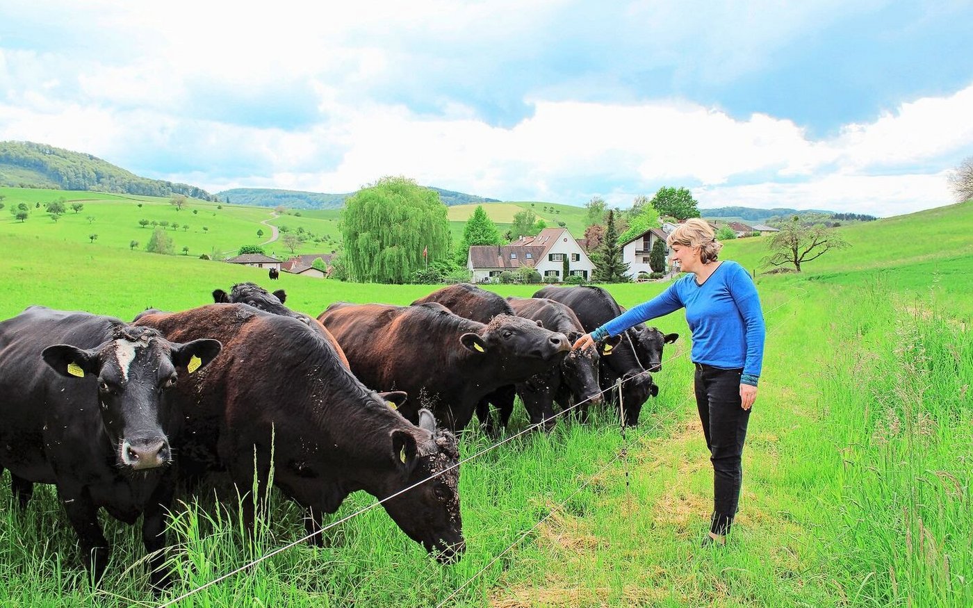 Zum Hof gehört eine Herde Angus-Rinder. Das Fleisch der Tiere vermarktet die Familie Wirth direkt. 