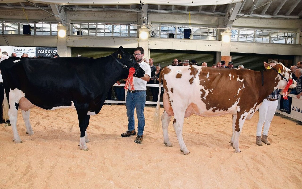 Das Spitzenduo der Kategorie 18: 1. Artemis Catalina (r.), Ueli Urben, Inkwil; 2. Minder’s Armani Ideal, David Minder, Leimiswil.