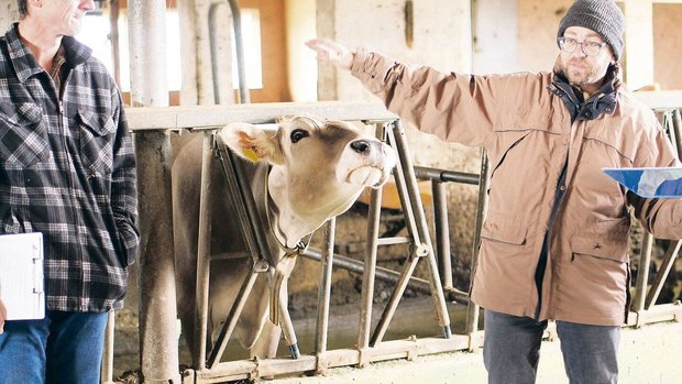 Unter Anleitung von Unter Anleitung von Kuhsignal-Trainern gingen Milchproduzent(innen) auf Beobachtungstour im Stall.