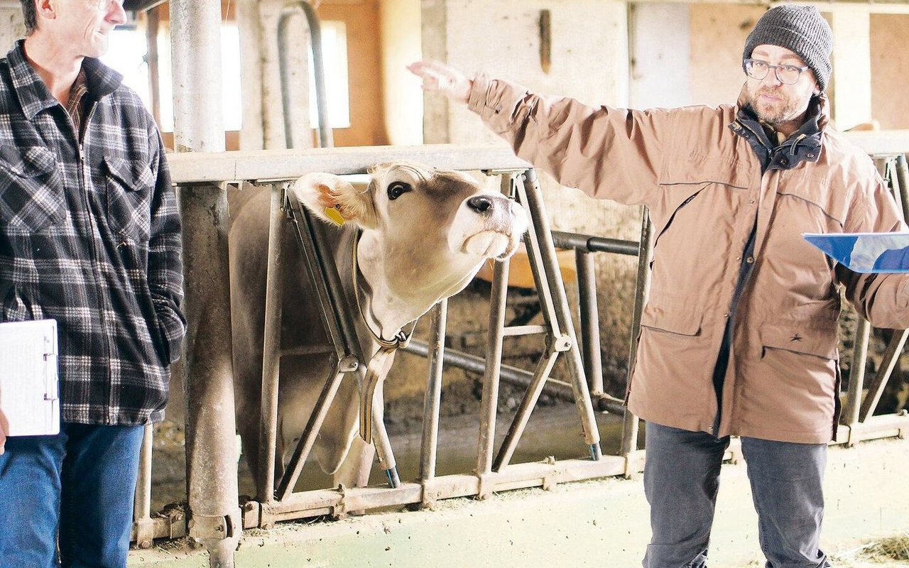 Unter Anleitung von Kuhsignal-Trainern gingen Milchproduzent(innen) auf Beobachtungstour im Stall.