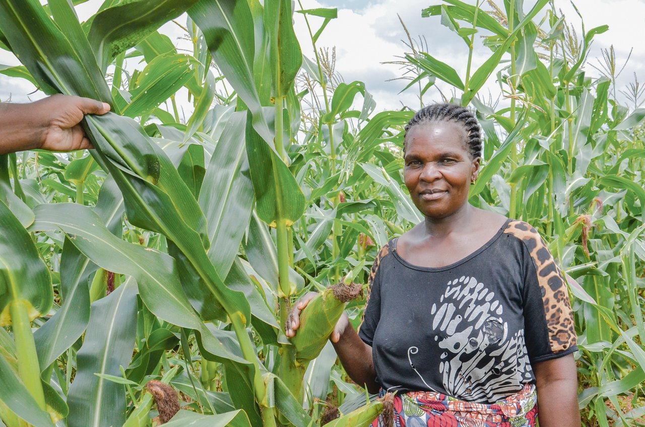 «Ich sorge für 22 Menschen», sagt Ruth Nyirongo. Sie ist eine der CF-Lead-Farmerinnen und somit ein Vorbild in ihrer Region. 