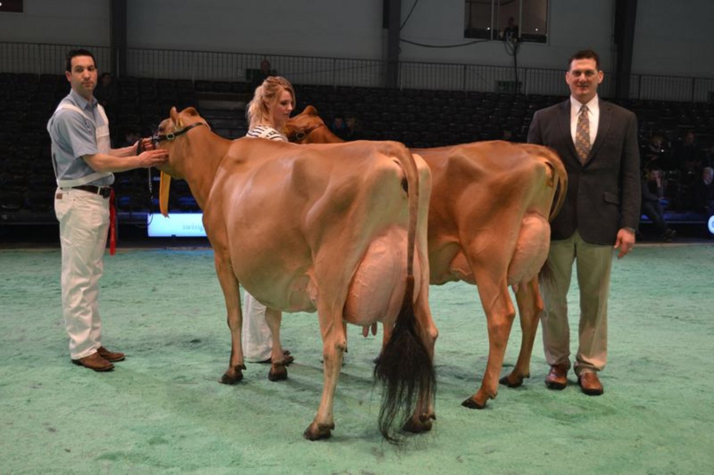 Schöneuter (links): Avonlea Signature Kendra, Brühlhof Holsteins, Deutschland / Reserve Schöneuter: DJ Izzy Viviane, Corinne Junker, Iffwil
