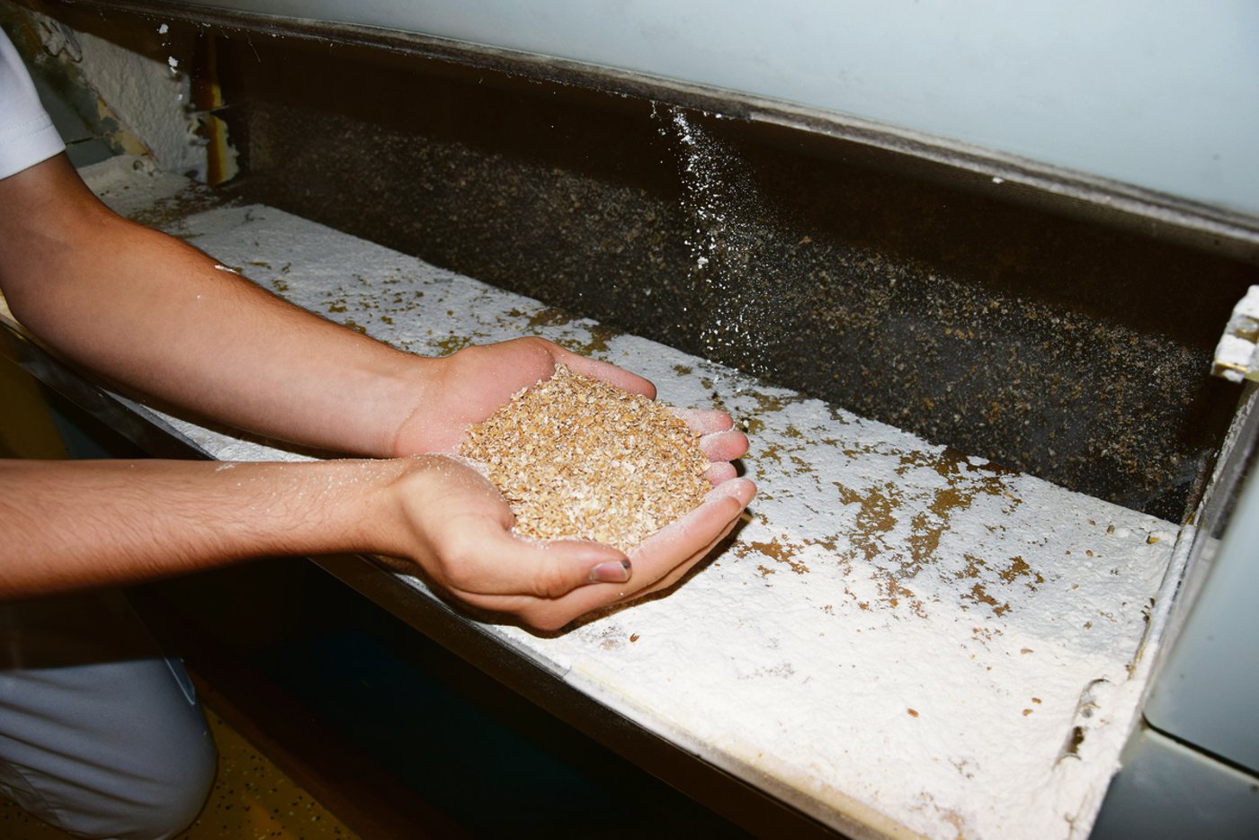 Müller ist nach wie vor ein Handwerk: Qualitätskontrolle am Walzenstuhl. (Bild Lisa McKenna)