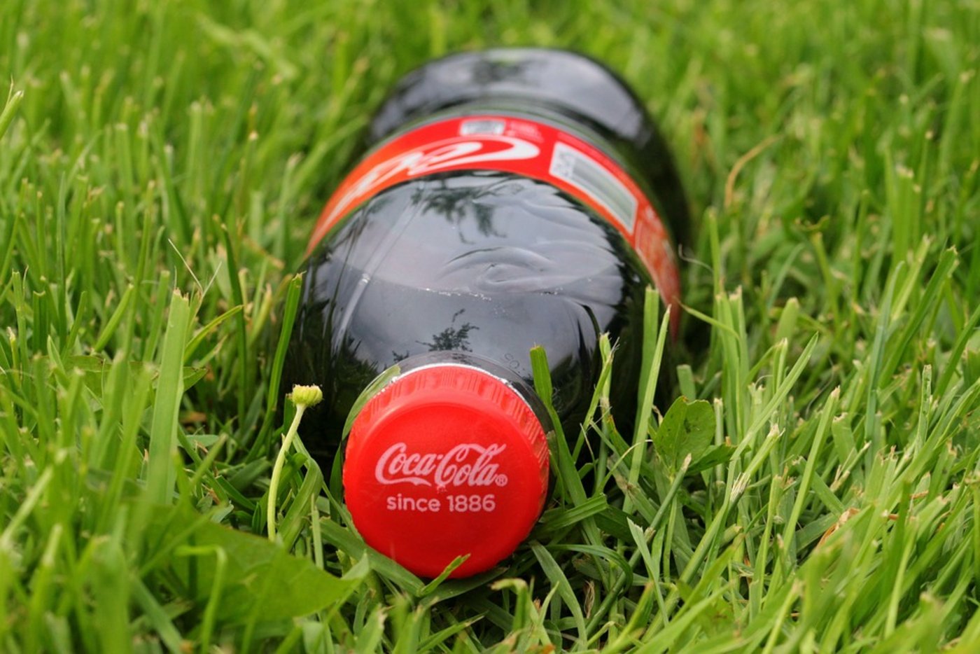 Coca Cola will den Zucker in seinem Getränkesortiment bis 2020 um zehn Prozent senken. (Bild Pixabay)