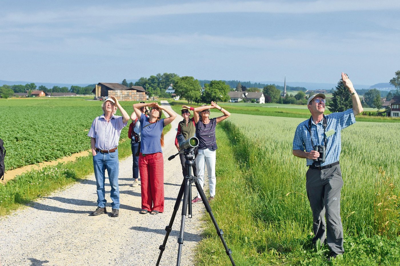 Bei der Exkursion in Marthalen galt das Augenmerk der Feldlerche. Diese wurde oftmals gesichtet und auch gehört. (Bilder Thomas Güntert)